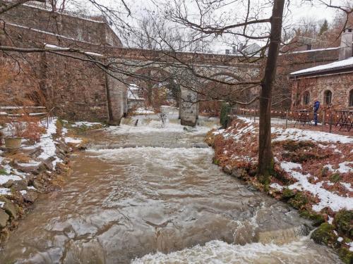 Rothschildschloss 2024 02