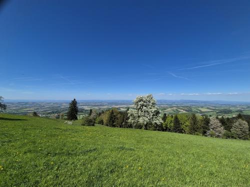 Wallfahrt 2026 054