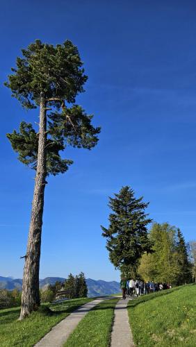 Wallfahrt 2026 065